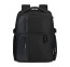 Kuprinė 14,1 colio kompiuteriui Samsonite Biz2Go Underseat 158708 Juoda