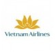 Vietnam Airlines dydžio lagaminai